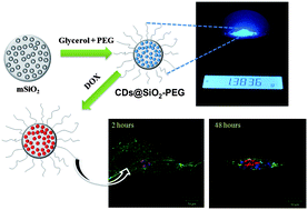 Graphical abstract: Facile synthesis of highly emissive carbon dots from pyrolysis of glycerol; gram scale production of carbon dots/mSiO2 for cell imaging and drug release