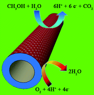 Graphical abstract: Single crystalline Pt nanotubes with superior electrocatalytic stability