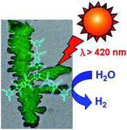 Graphical abstract: Facile green synthesis of crystalline polyimide photocatalyst for hydrogen generation from water