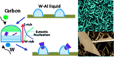 Graphical abstract: Eutectic solidification applied to nanofabrication: a strategy to prepare large-scale tungsten carbide nanowalls
