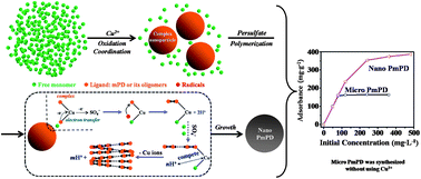 Graphical abstract: Facile and large-scale synthesis of functional poly(m-phenylenediamine) nanoparticles by Cu2+-assisted method with superior ability for dye adsorption