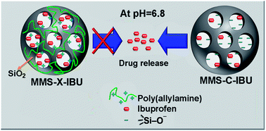 Graphical abstract: Entrapped polyamines in biomimetically synthesized nanostructured silica spheres as pH-responsive gates for controlled drug release