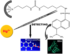 Graphical abstract: Facile preparation of a multifunctional fluorescent nanosensor for chemical and biological applications