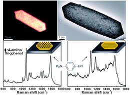 Graphical abstract: Polymer-single-crystal@nanoparticle nanosandwich for surface enhanced Raman spectroscopy
