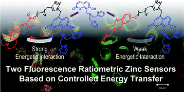 Graphical abstract: Fluorescence ratiometric zinc sensors based on controlled energy transfer
