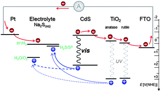 Graphical abstract: Enhanced photoelectrochemical activity of an excitonic staircase in CdS@TiO2 and CdS@anatase@rutile TiO2 heterostructures