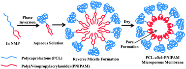 Graphical abstract: Preparation of stimuli responsive polycaprolactone membranes of controllable porous morphology via combined atom transfer radical polymerization, ring-opening polymerization and thiol–yne click chemistry