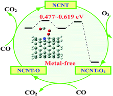 Graphical abstract: CO oxidation on metal-free nitrogen-doped carbon nanotubes and the related structure–reactivity relationships