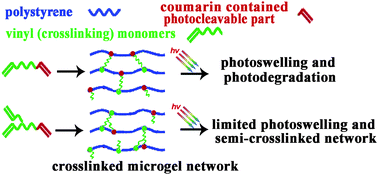 Graphical abstract: Photocleavable coumarin crosslinkers based polystyrene microgels: phototriggered swelling and release