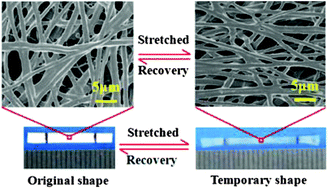 Graphical abstract: Electrospun shape memory film with reversible fibrous structure