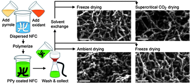 Graphical abstract: Electroactive nanofibrillated cellulose aerogel composites with tunable structural and electrochemical properties