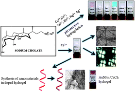 Graphical abstract: Metal cholate hydrogels: versatile supramolecular systems for nanoparticle embedded soft hybrid materials