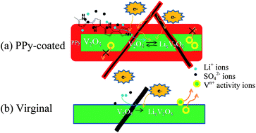 Graphical abstract: A hybrid of V2O5 nanowires and MWCNTs coated with polypyrrole as an anode material for aqueous rechargeable lithium batteries with excellent cycling performance