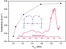 Graphical abstract: Niobium phosphates as an intermediate temperature proton conducting electrolyte for fuel cells