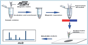 Graphical abstract: Facile synthesis of magnetic graphene and carbon nanotube composites as a novel matrix and adsorbent for enrichment and detection of small molecules by MALDI-TOF MS