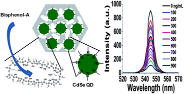 Graphical abstract: CdSe quantum dot-encapsulated molecularly imprinted mesoporous silica particles for fluorescent sensing of bisphenol A