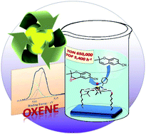 Graphical abstract: A surface-confined O [[double bond, length as m-dash]] MnV(salen) oxene catalyst and high turnover values in asymmetric epoxidation of unfunctionalized olefins