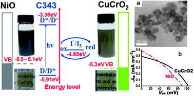 Graphical abstract: Hydrothermal synthesis of ultrasmall CuCrO2 nanocrystal alternatives to NiO nanoparticles in efficient p-type dye-sensitized solar cells
