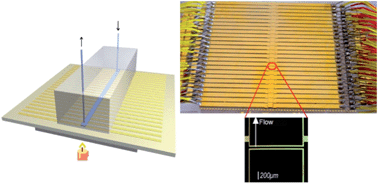 Graphical abstract: A novel thin-film temperature and heat-flux microsensor for heat transfer measurements in microchannels
