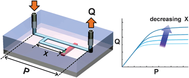 Graphical abstract: Quantitative modeling of the behaviour of microfluidic autoregulatory devices