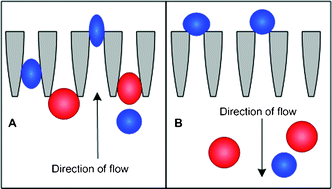 Graphical abstract: Cell separation based on size and deformability using microfluidic funnel ratchets