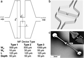 Graphical abstract: Hydrodynamic shearing of DNA in a polymeric microfluidic device