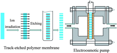 Graphical abstract: Low-voltage electroosmotic pumps fabricated from track-etched polymer membranes