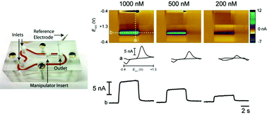 Graphical abstract: Electrode calibration with a microfluidic flow cell for fast-scan cyclic voltammetry