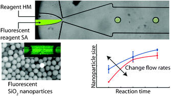 Graphical abstract: Controlled synthesis of fluorescent silica nanoparticles inside microfluidic droplets