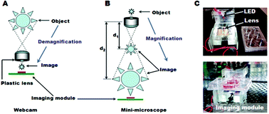 Graphical abstract: A mini-microscope for in situ monitoring of cells