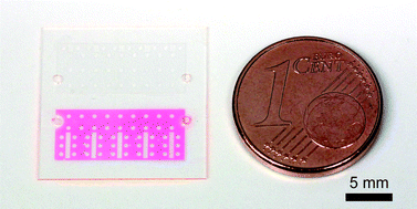 Graphical abstract: Diffusion driven optofluidic dye lasers encapsulated into polymer chips