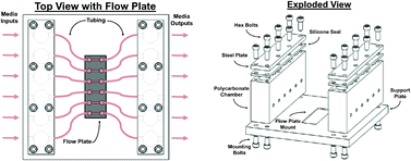 Graphical abstract: A multichannel dampened flow system for studies on shear stress-mediated mechanotransduction