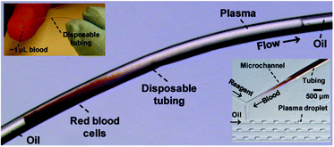 Graphical abstract: Blood plasma separation in a long two-phase plug flowing through disposable tubing