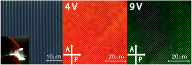 Graphical abstract: Electro-switchable polydimethylsiloxane-based optofluidics