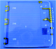 Graphical abstract: An integrated PCR microfluidic chip incorporating aseptic electrochemical cell lysis and capillary electrophoresis amperometric DNA detection for rapid and quantitative genetic analysis