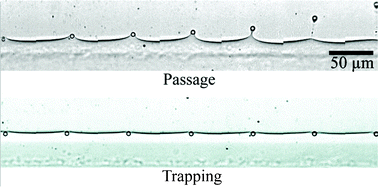 Graphical abstract: Microfluidic ultralow interfacial tensiometry with magnetic particles
