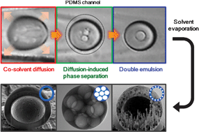 Graphical abstract: Microfluidic synthesis of atto-liter scale double emulsions toward ultrafine hollow silica spheres with hierarchical pore networks