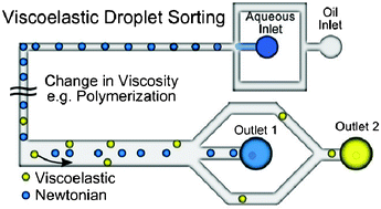 Graphical abstract: Passive droplet sorting using viscoelastic flow focusing