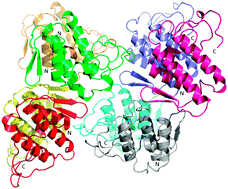 Graphical abstract: Crystal structure of a dimeric Ser49 PLA2-like myotoxic component of the Vipera ammodytes meridionalis venomics reveals determinants of myotoxicity and membrane damaging activity