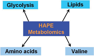 Graphical abstract: Metabolomic analysis of the plasma of patients with high-altitude pulmonary edema (HAPE) using 1H NMR
