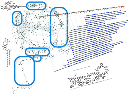 Graphical abstract: The spectral networks paradigm in high throughput mass spectrometry