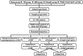 Graphical abstract: The serum metabolomic study of intervention effects of the traditional Chinese medicine Shexiang Baoxin Pill and a multi-component medicine polypill in the treatment of myocardial infarction in rats