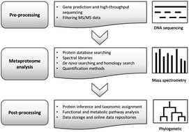 Graphical abstract: Searching for a needle in a stack of needles: challenges in metaproteomics data analysis
