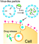 Graphical abstract: Virus-like particles with removable cyclodextrins enable glutathione-triggered drug release in cells