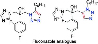 Graphical abstract: Synthesis and antifungal activity of 1,5-disubstituted-1,2,3-triazole containing fluconazole analogues