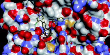 Graphical abstract: New 3-amidinophenylalanine-derived inhibitors of matriptase