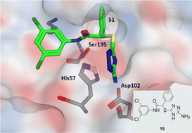 Graphical abstract: Structure based virtual screening for discovery of novel human neutrophil elastase inhibitors