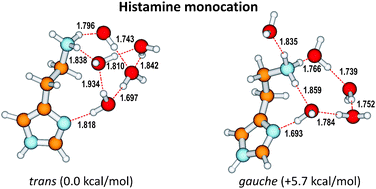 Graphical abstract: Microsolvation of the histamine monocation in aqueous solution: the effect on structure, hydrogen bonding ability and vibrational spectrum