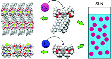 Graphical abstract: Cation binding resorcinarene bis-crowns: the effect of lower rim alkyl chain length on crystal packing and solid lipid nanoparticles