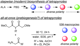 Graphical abstract: A tandem combinatorial model for the prebiogenesis of diverse tetrapyrrole macrocycles